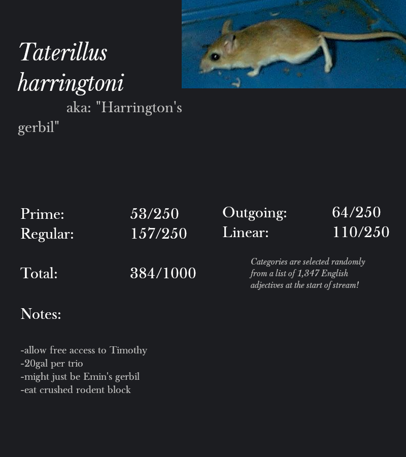 Taterillus harringtoni